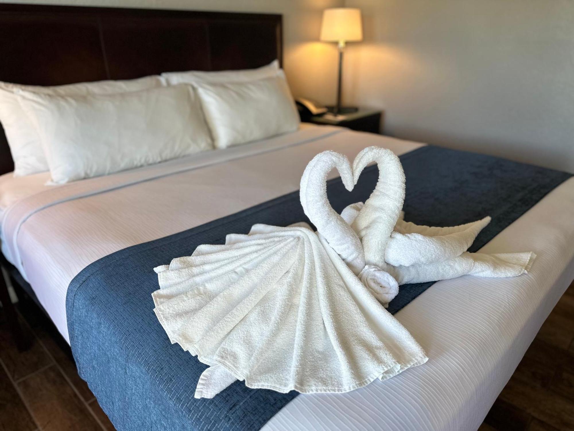 Lantern Inn & Suites - Sarasota Eksteriør bilde